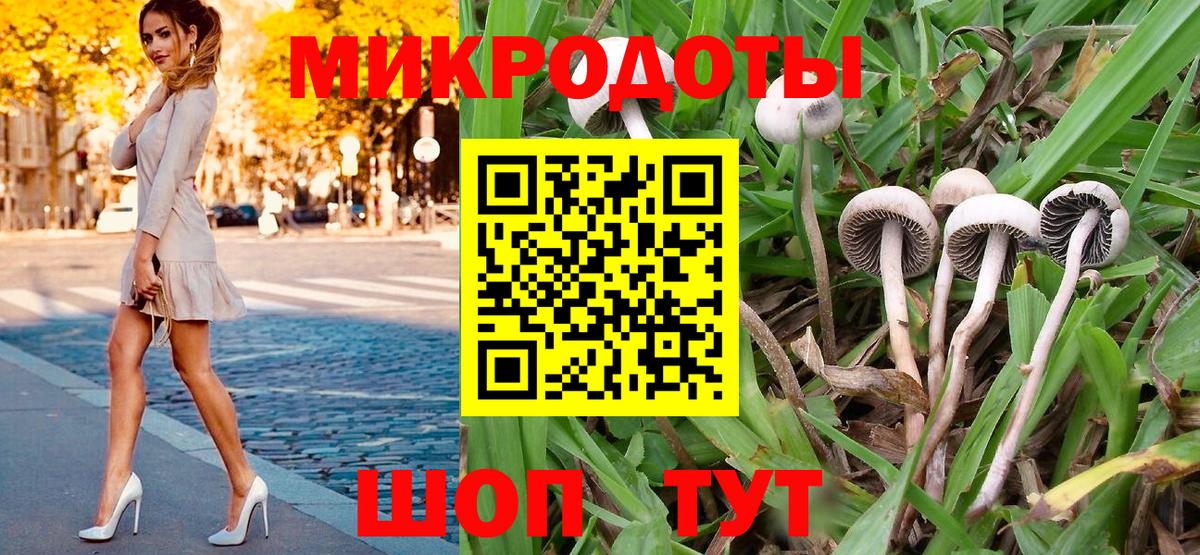 закладки  Псилоцибиновые грибы GOLDEN TEACHER  Псилоцибиновые грибы Psilocybe  Вход с VPN  Баксан 